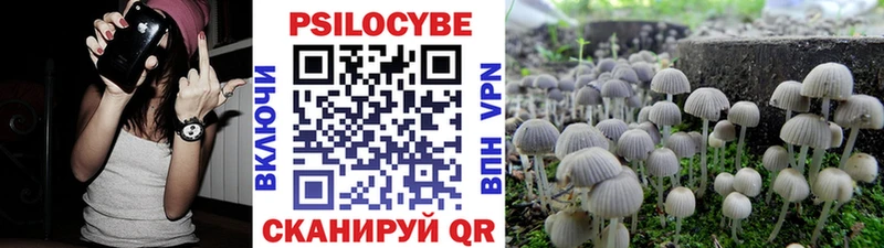 Псилоцибиновые грибы Psilocybe  купить закладку  Ханты-Мансийск 